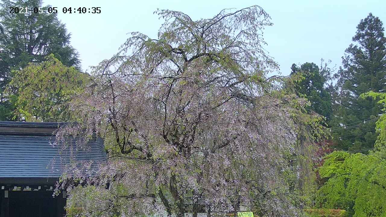 area3-20210505044037.jpg