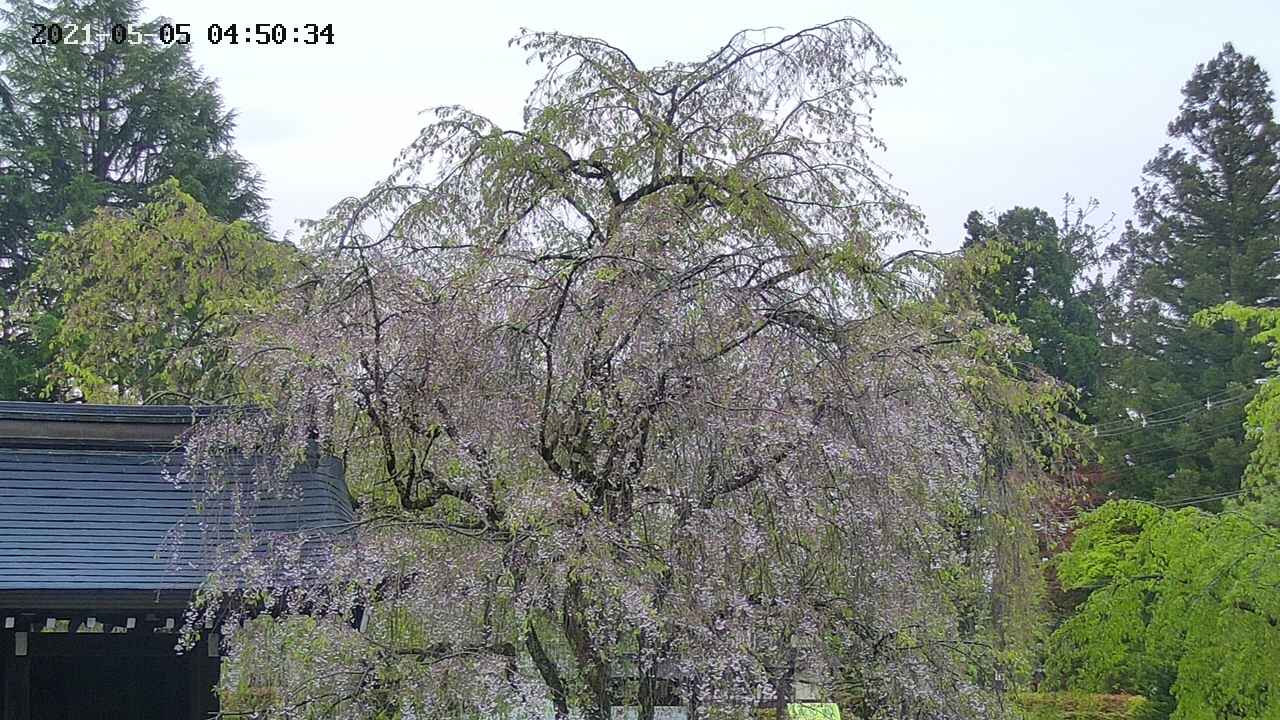 area3-20210505045036.jpg