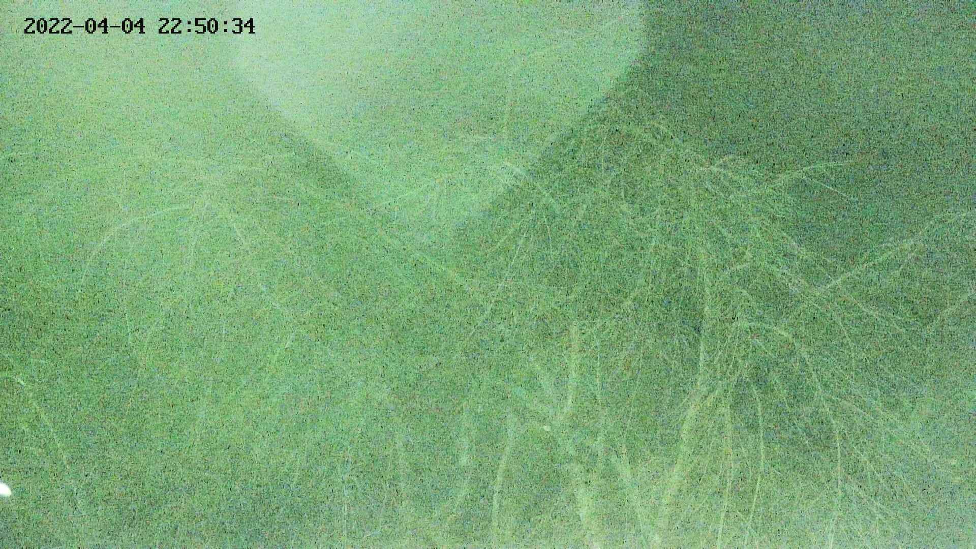 area3-20220404225036.jpg