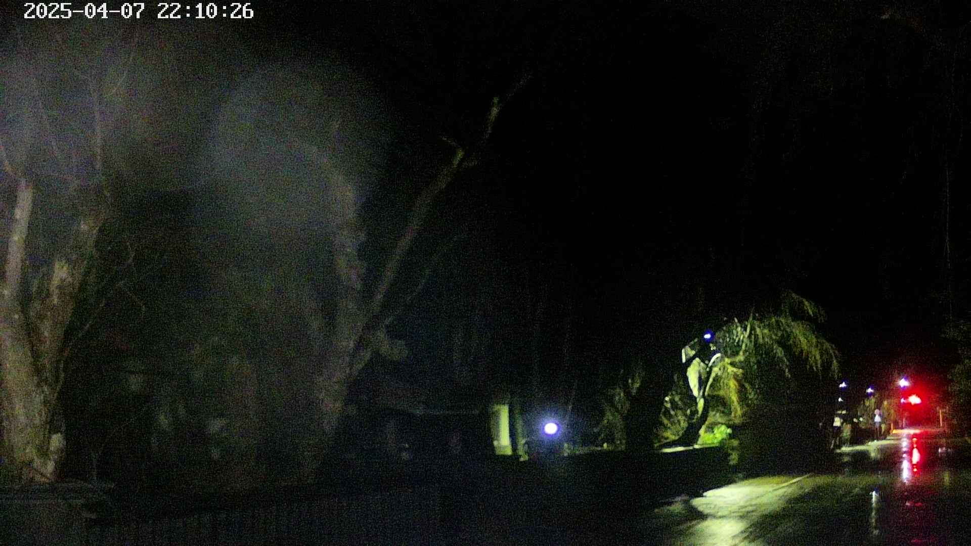 area3-20250407221029.jpg