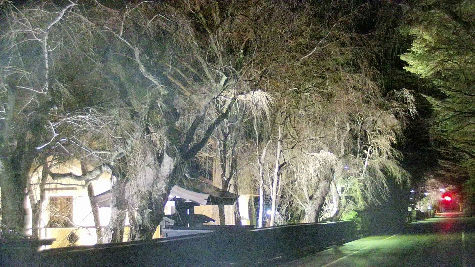 area3-20250415221028.jpg