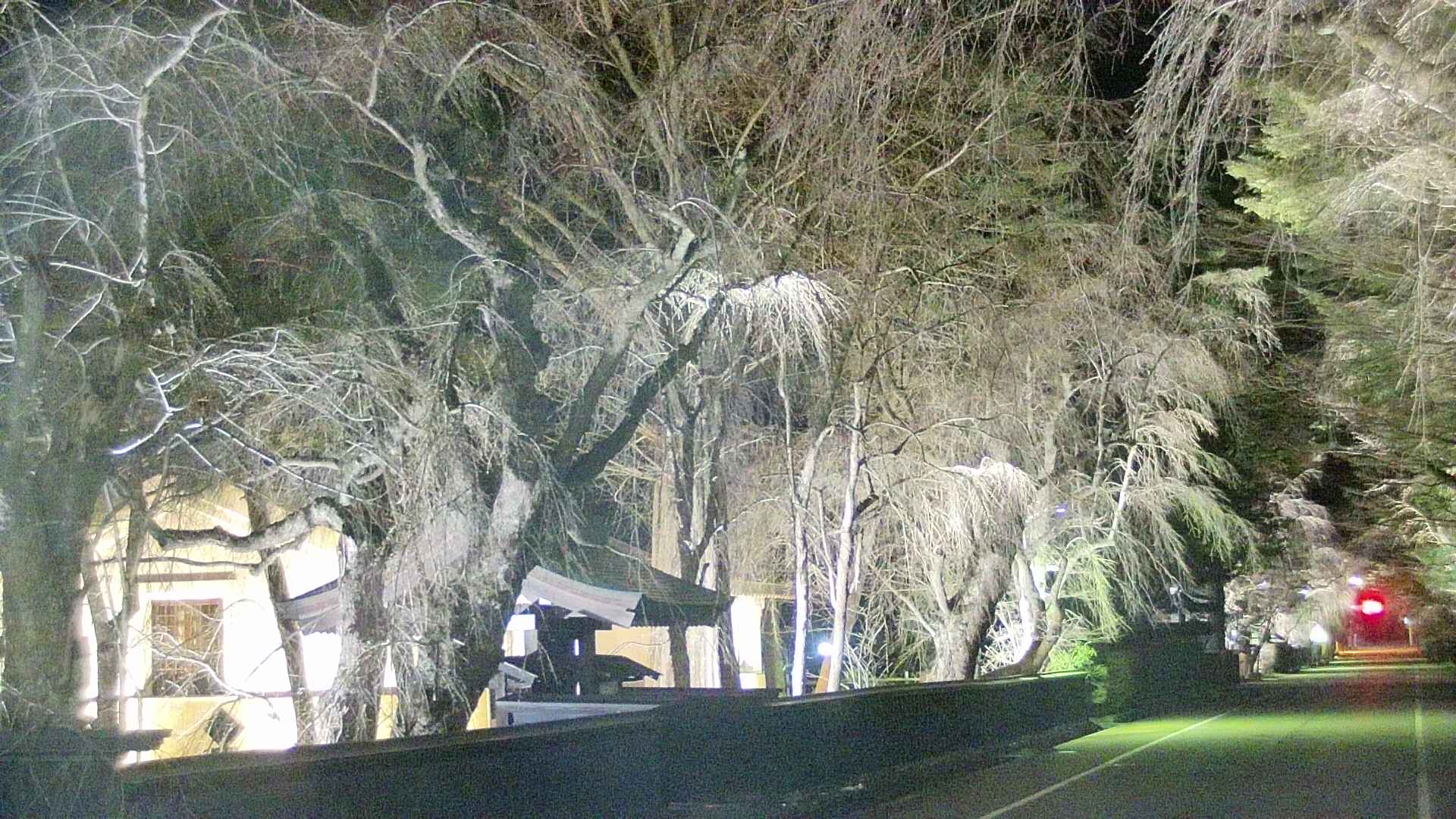 area3-20250416213028.jpg