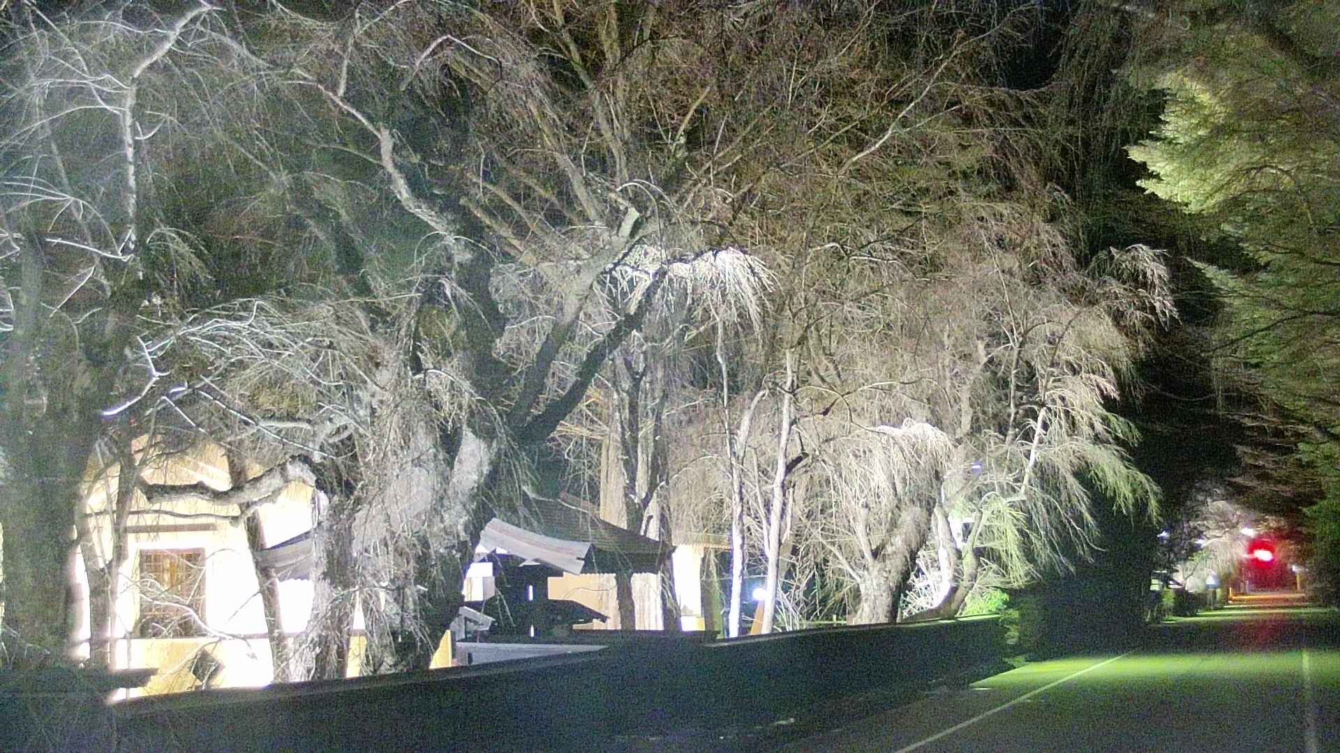 area3-20250416221028.jpg