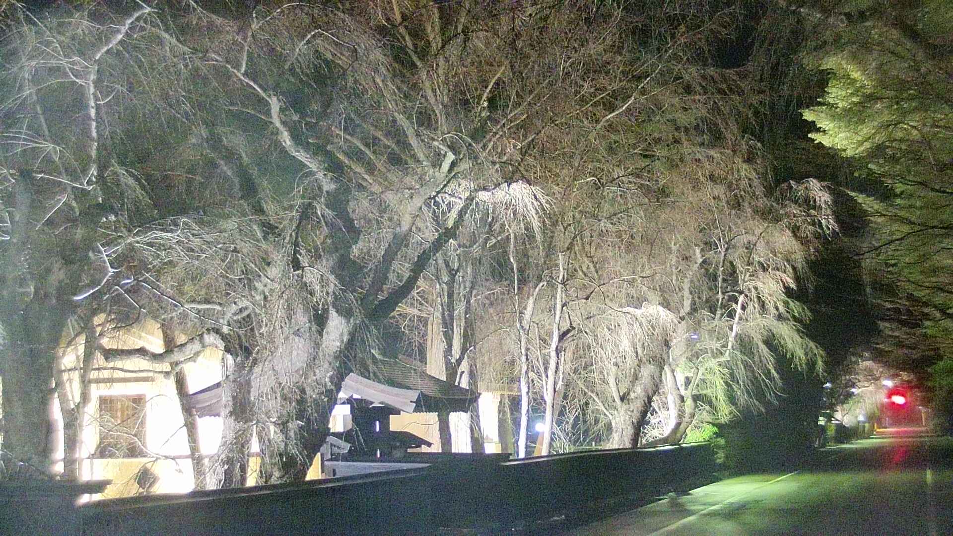 area3-20250417221028.jpg