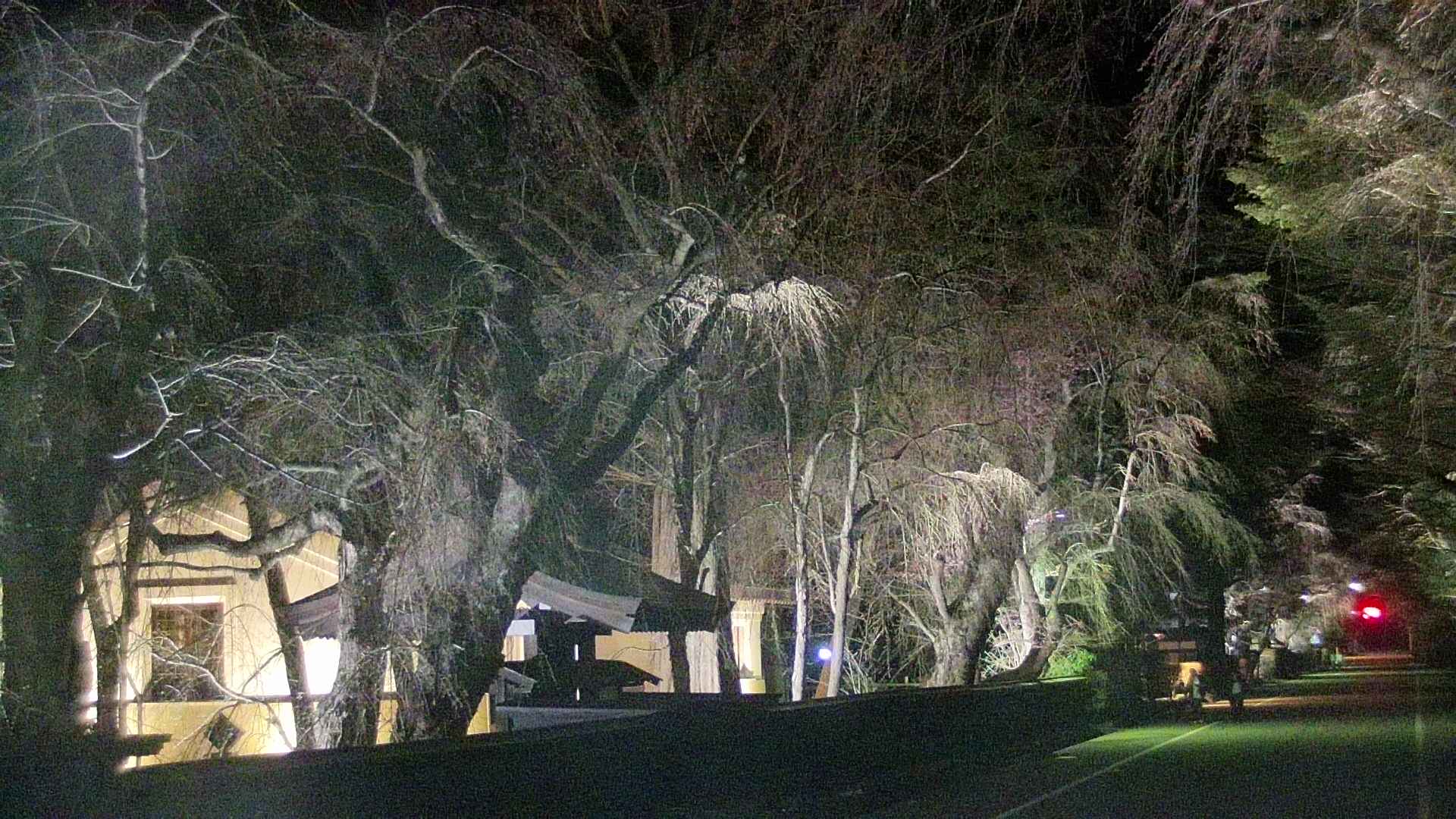 area3-20250419213028.jpg