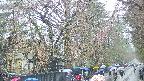 area3-20250420113027.jpg