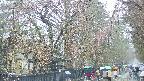 area3-20250420115029.jpg