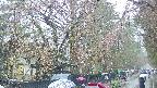 area3-20250420120029.jpg
