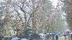 area3-20250420122029.jpg