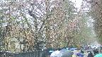area3-20250420123030.jpg