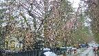 area3-20250420124028.jpg