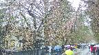 area3-20250420125029.jpg