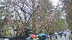area3-20250420131029.jpg