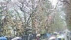 area3-20250420133029.jpg