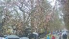 area3-20250420134029.jpg