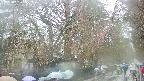 area3-20250420135030.jpg