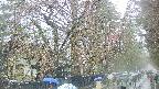area3-20250420140027.jpg