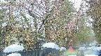 area3-20250420141030.jpg
