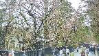 area3-20250420150029.jpg