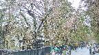 area3-20250420151029.jpg