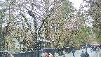area3-20250420152028.jpg