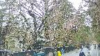 area3-20250420160029.jpg