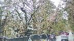 area3-20250420161027.jpg