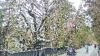 area3-20250420162031.jpg