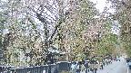 area3-20250420165028.jpg