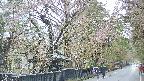 area3-20250420173030.jpg