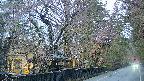 area3-20250420180032.jpg