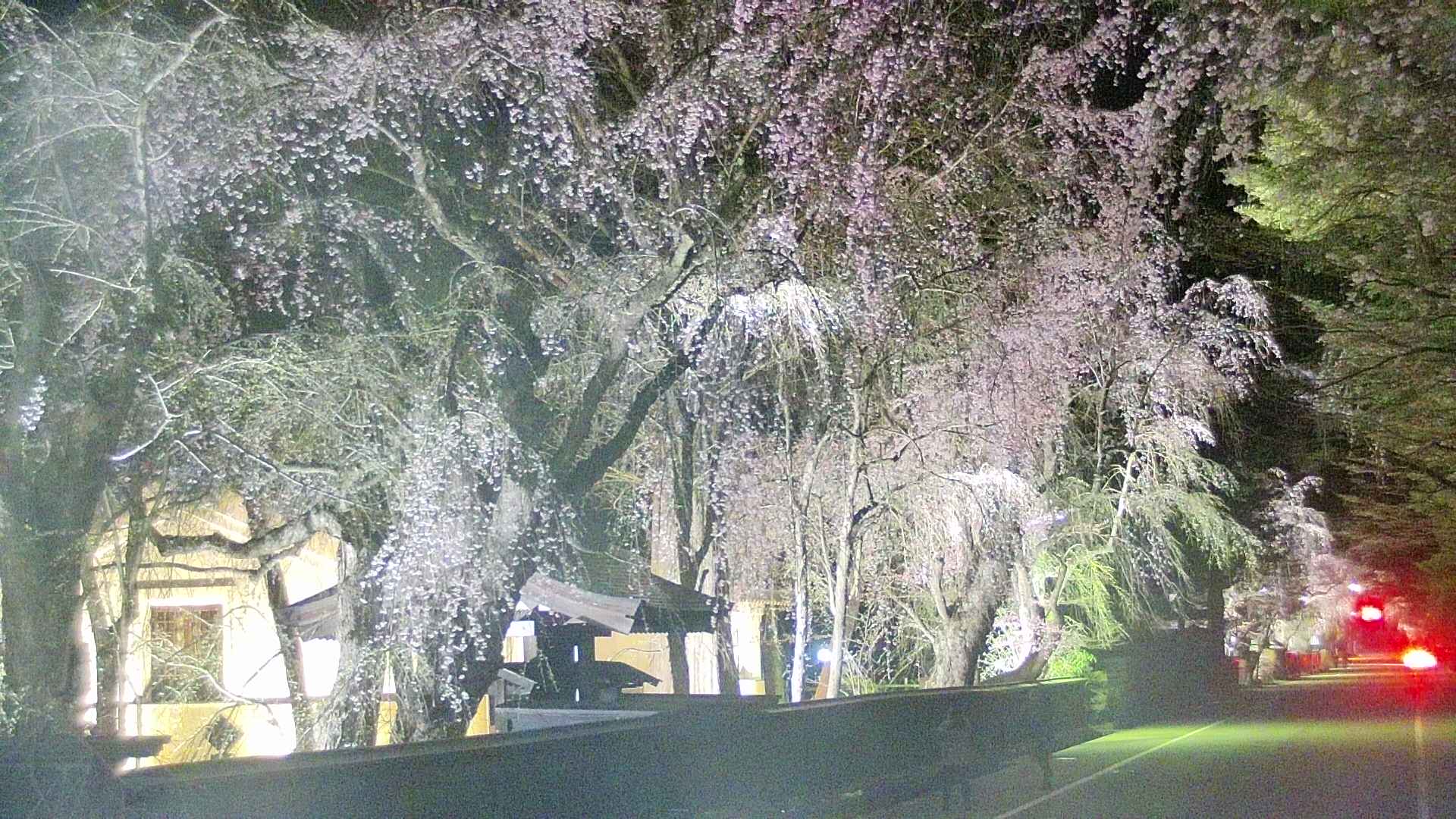 area3-20250422213030.jpg
