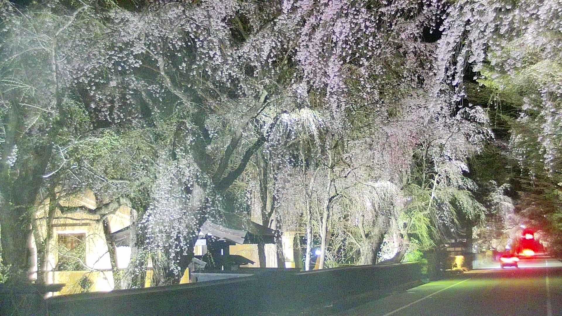 area3-20250423213029.jpg