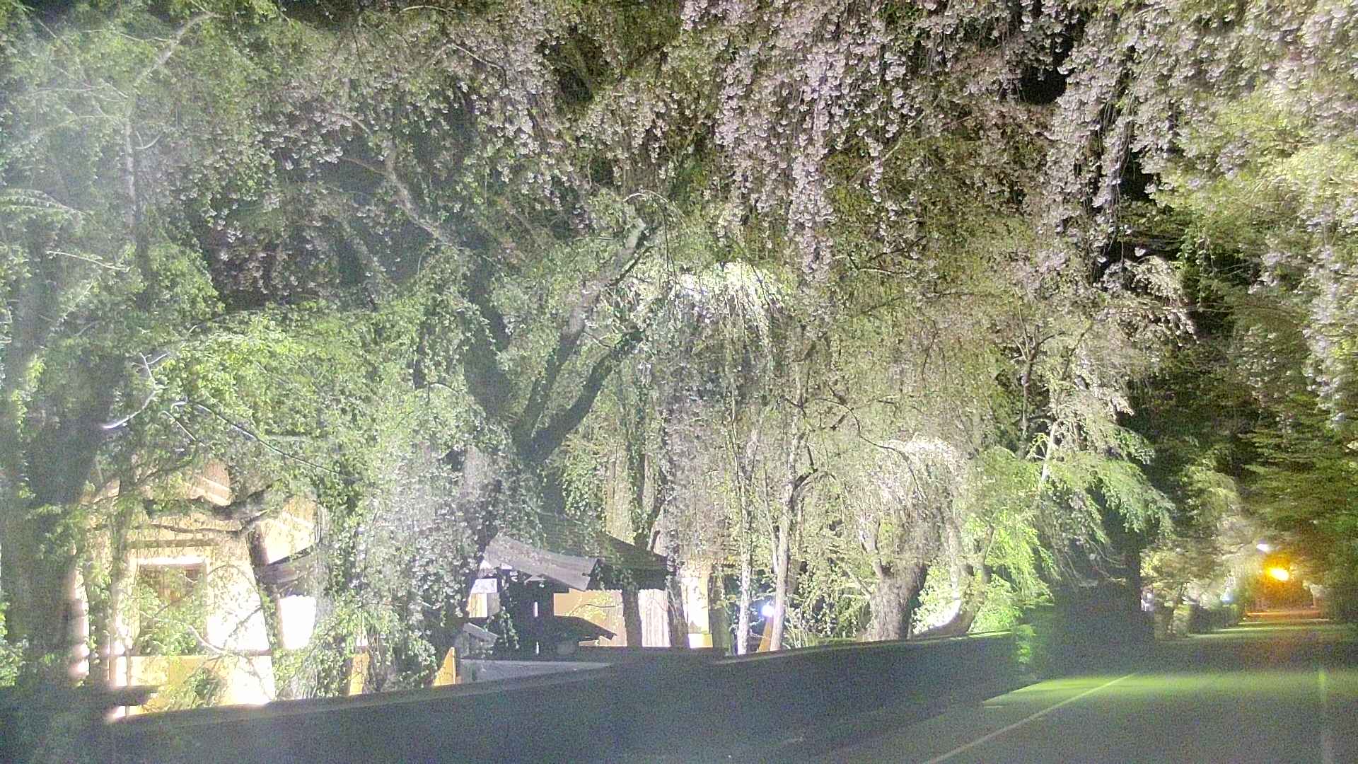 area3-20250428213026.jpg