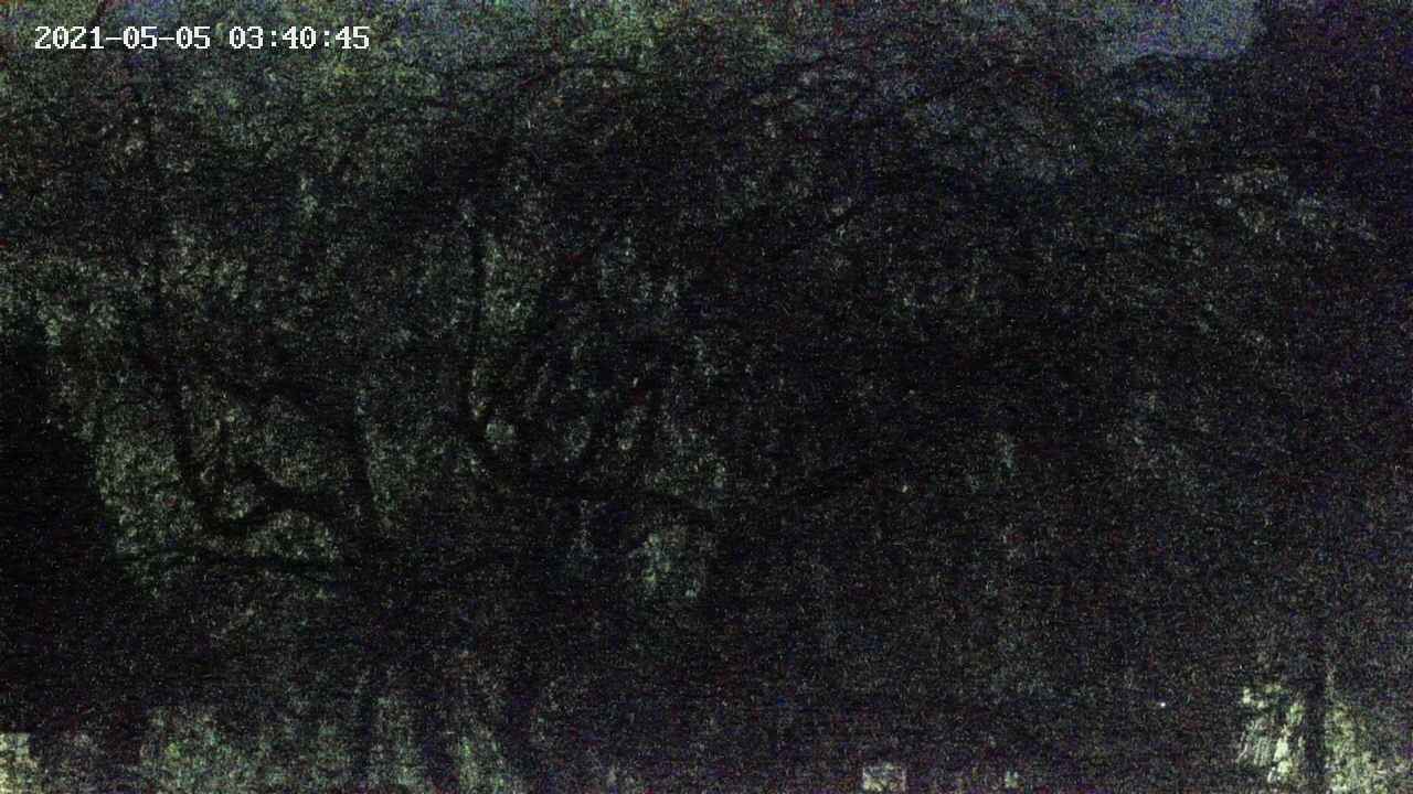area4-20210505034047.jpg