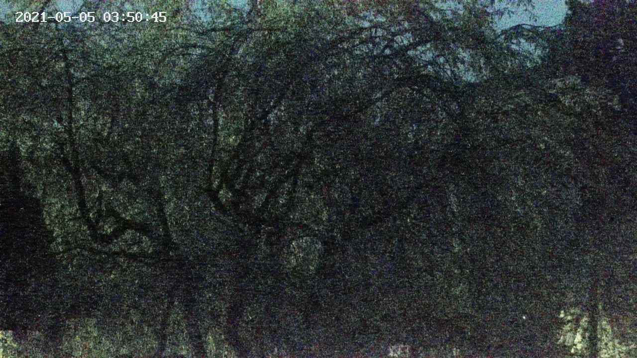 area4-20210505035047.jpg