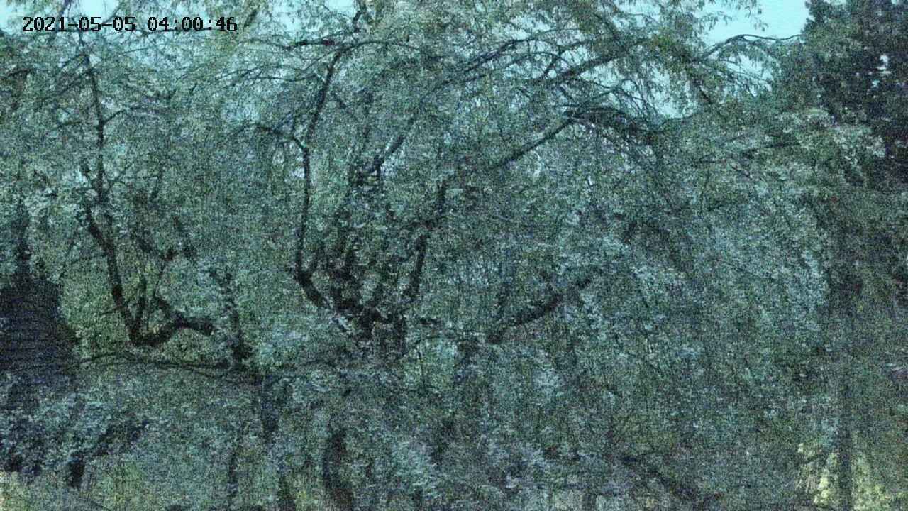 area4-20210505040047.jpg