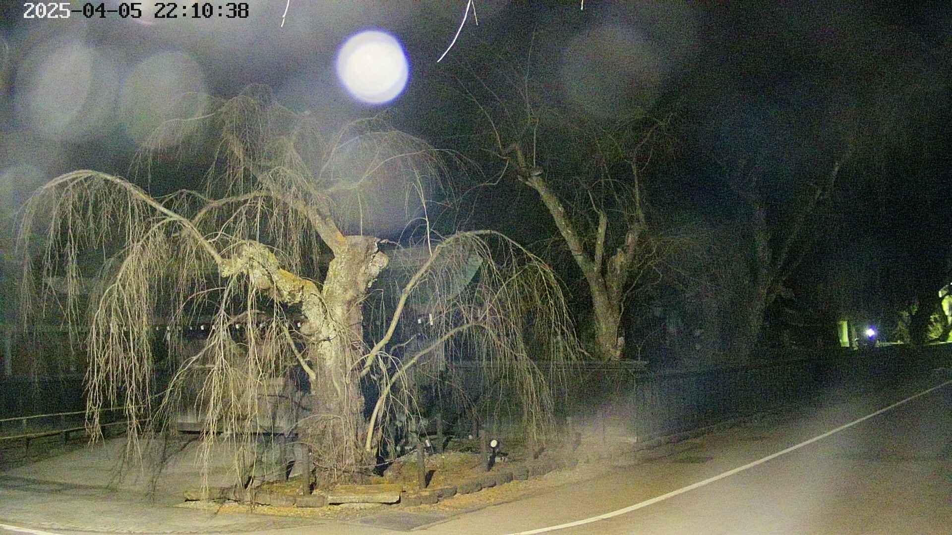 area4-20250405221041.jpg