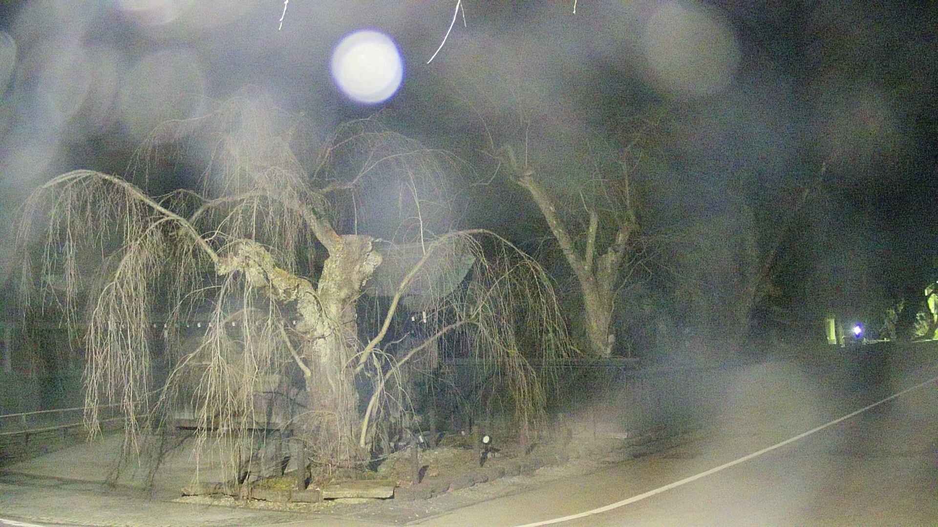 area4-20250410221042.jpg
