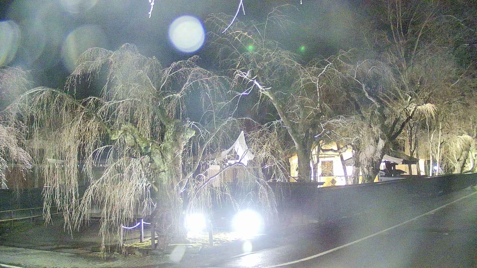 area4-20250415221041.jpg