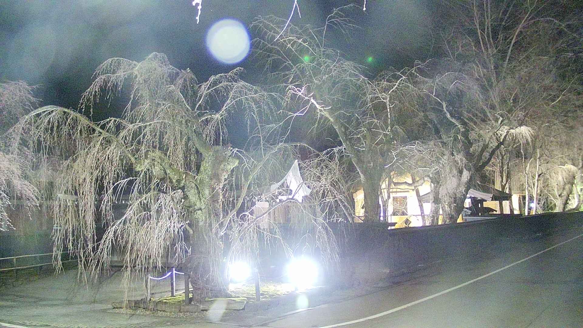 area4-20250416221041.jpg