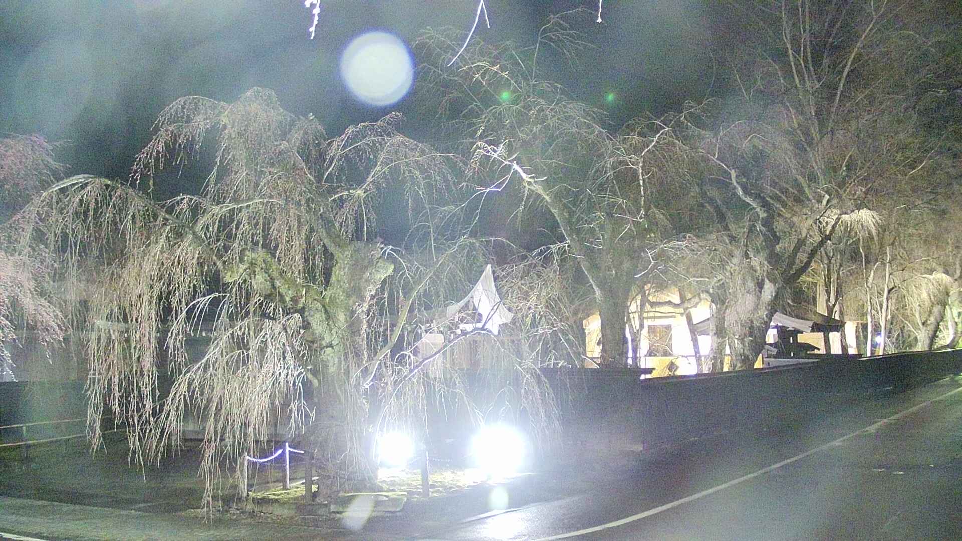 area4-20250417221041.jpg