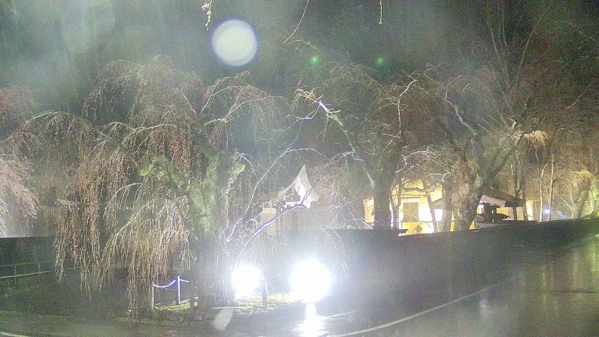 area4-20250418221040.jpg