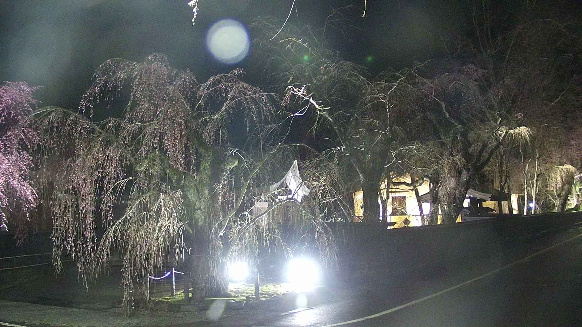 area4-20250420221042.jpg