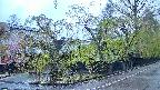 area4-20250430050040.jpg