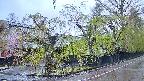 area4-20250430052040.jpg