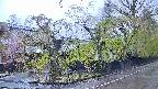 area4-20250430053040.jpg