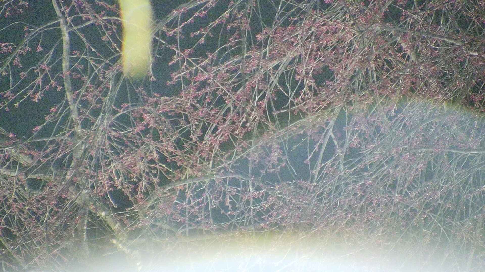 area5-20250416213054.jpg