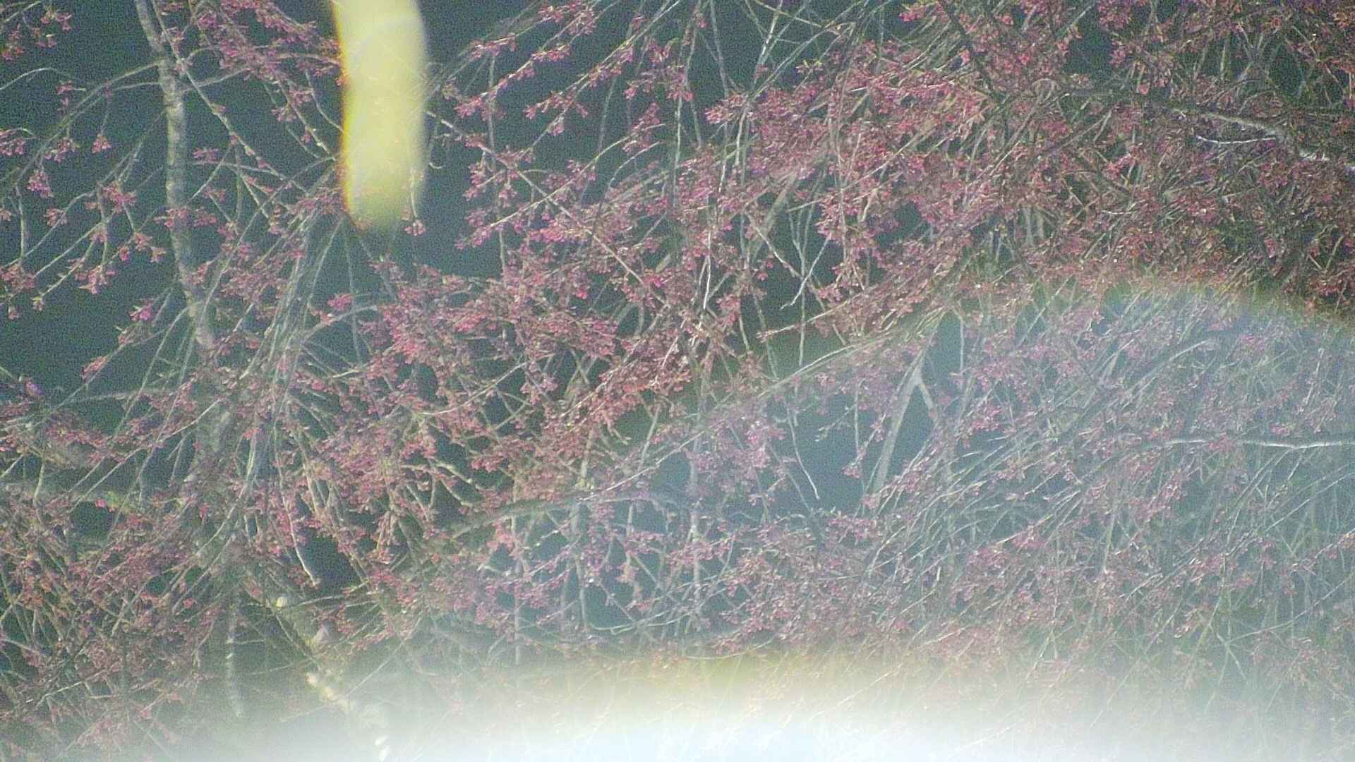 area5-20250417213055.jpg
