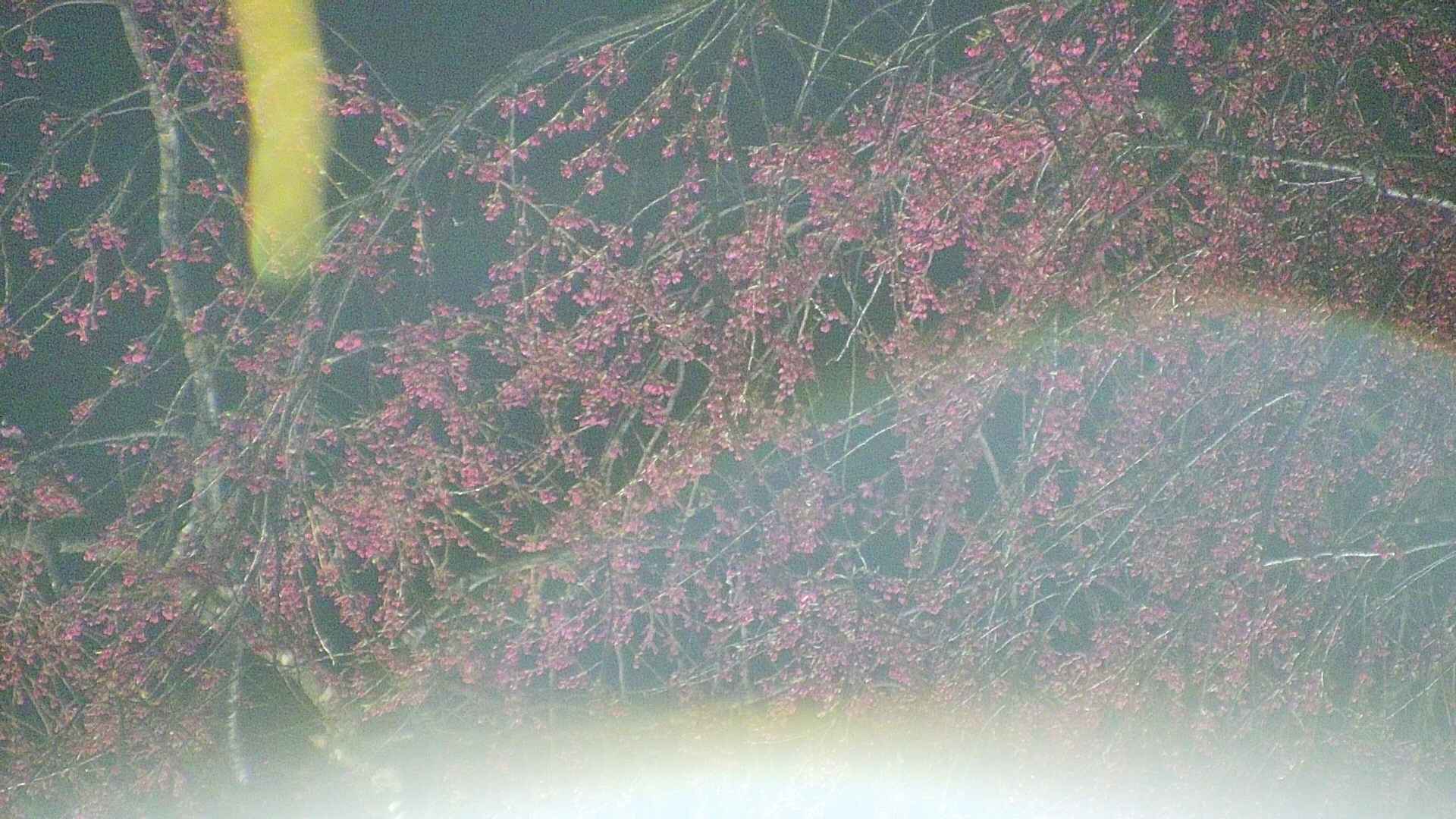 area5-20250418213054.jpg